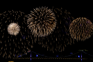 Gifs animés feux d'artifices 38